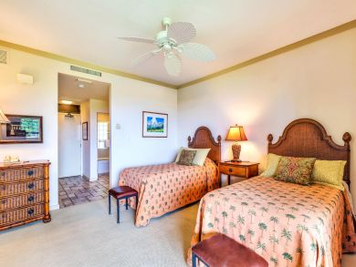 Kapalua Condo 896358